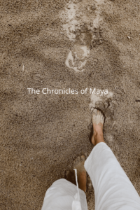 <img src="footprints_on_beach.jpg" alt="footprints_on_beach_on_the_chronicles_of_maya" width="500" height="600">